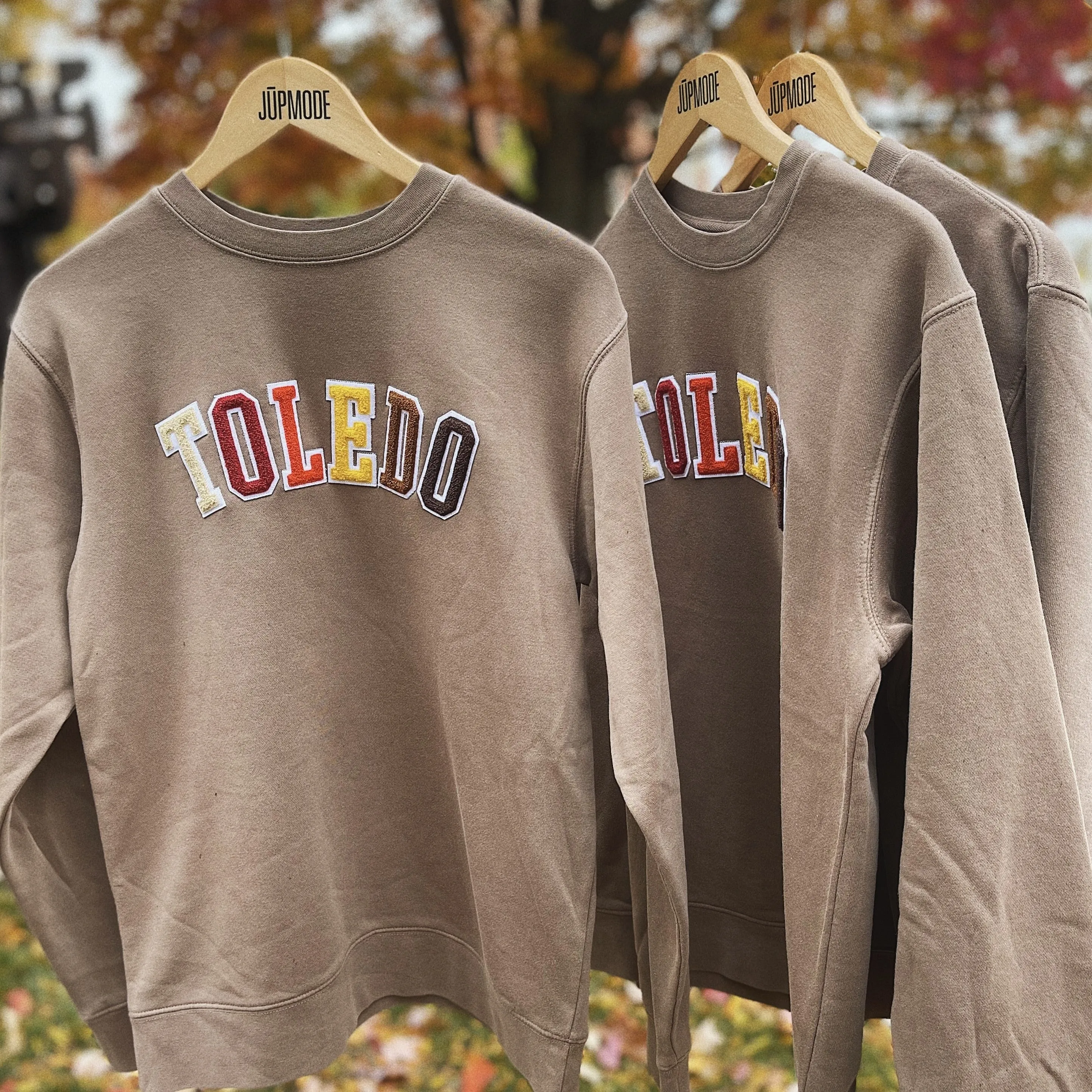 Toledo Chenille Limited Edition Fall Sweatshirt (Discontinued)